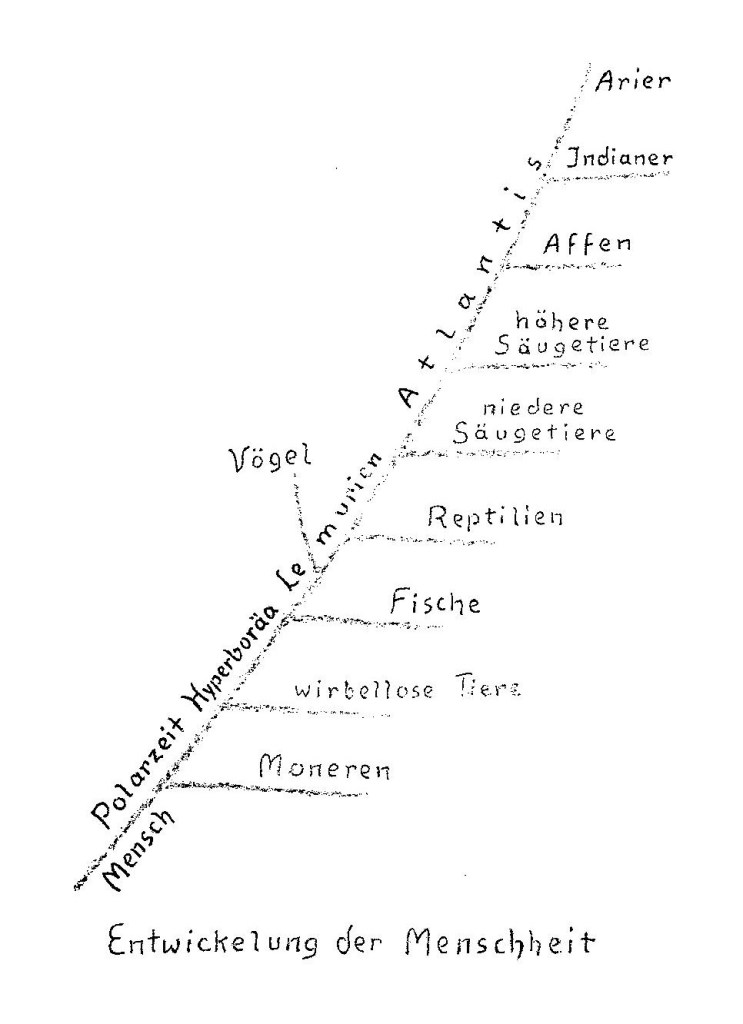 Eine Zeichnung R. Steiners, untertitelt als "Entwicklung der Menschheit". Die Diagonal verlaufende Linie ist mit angeblichen Zeitaltern und dem Wort "Mensch" beschriftet, sie endet oben bei dem Wort "Arier". Von ihr abzweigende Linien sind mit "Indianer", "Affen", "höhere Säugetiere", "niedere Säugetiere" etc. beschriftet.